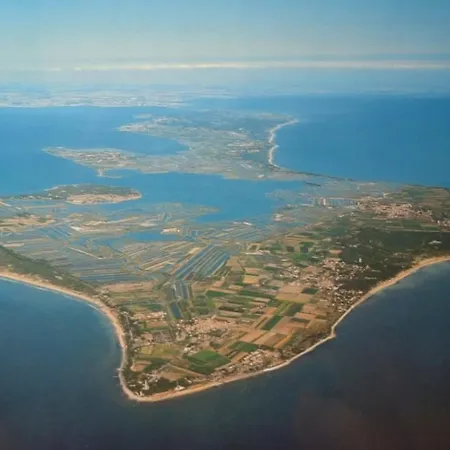 Villa Chai Des Tortues - Ile De Re - 250 M De La - 3 - 2 Salles D Eau - 1 A 6 Personnes *