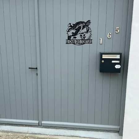 Chai Des Tortues - Ile De Re - 250 M De La - *