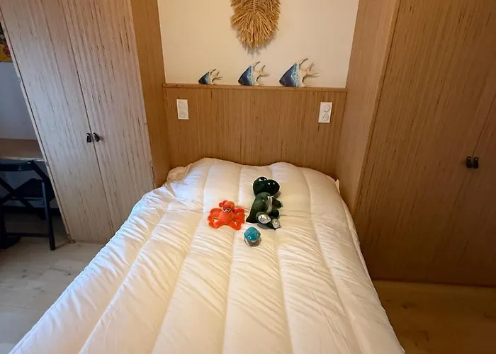 Chai Des Tortues - Ile De Re - 250 M De La - 3 - 2 Salles D Eau - 1 A 6 Personnes * Rivedoux-Plage